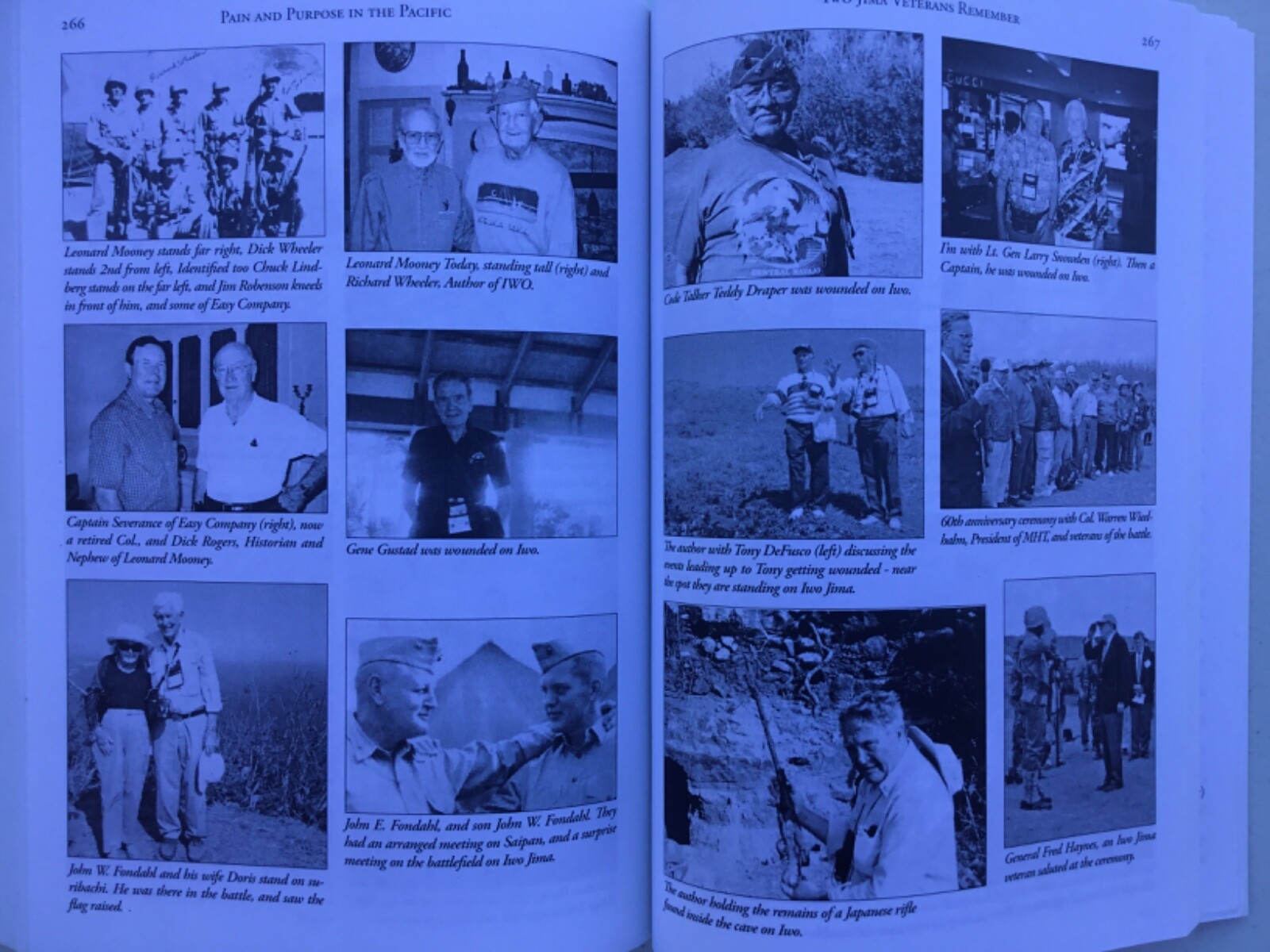 Pain & Purpose In the Pacific: True Reports Of War Richard Carl Bright Iwo Jima