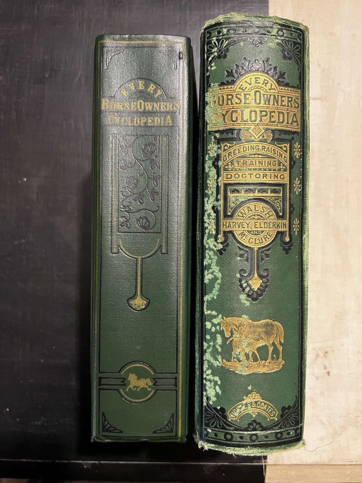 Every Horse Owners‘ Cyclopedia – Diseases, And How To Cure Them 1875 & 1971