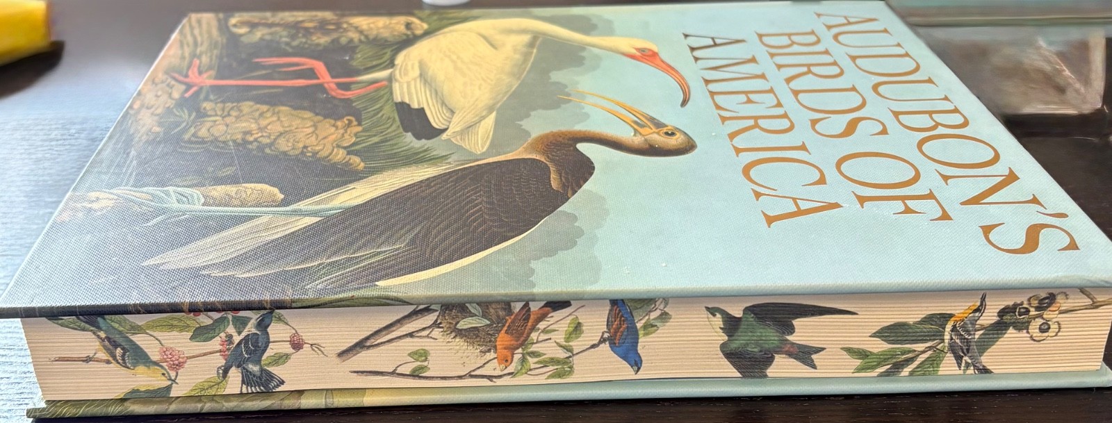 Audobon Birds of America Arcturus Publishing