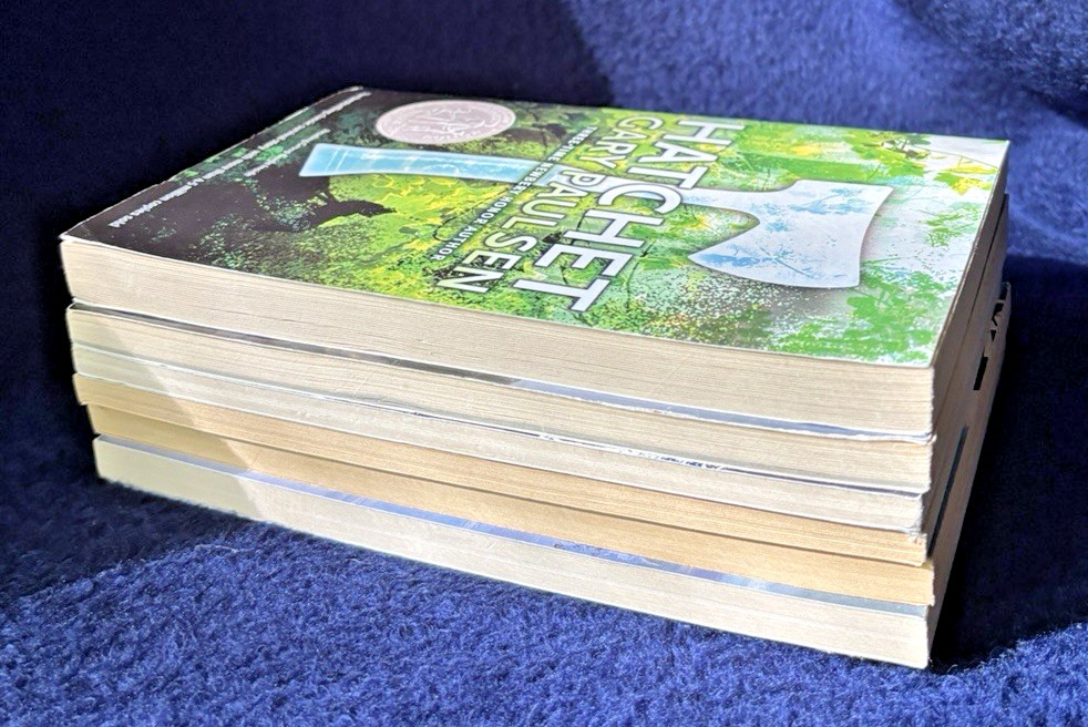Gary Paulsen Lot 6 Books Hatchet Brian Tracker Winter Newbery Grades 4th-6th