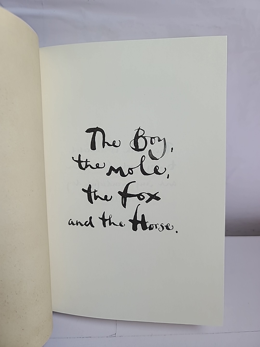The Boy, the Mole, the Fox and the Horse – by Charlie Mackesy (Hardcover)
