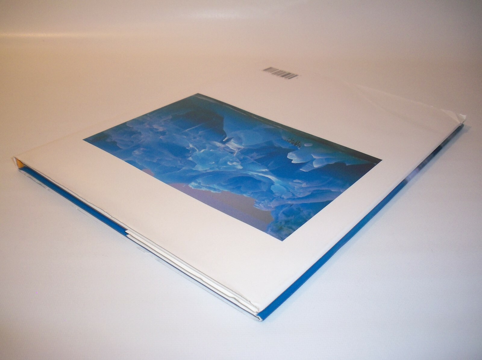 Penguins Hardback Book by Derek Hastings