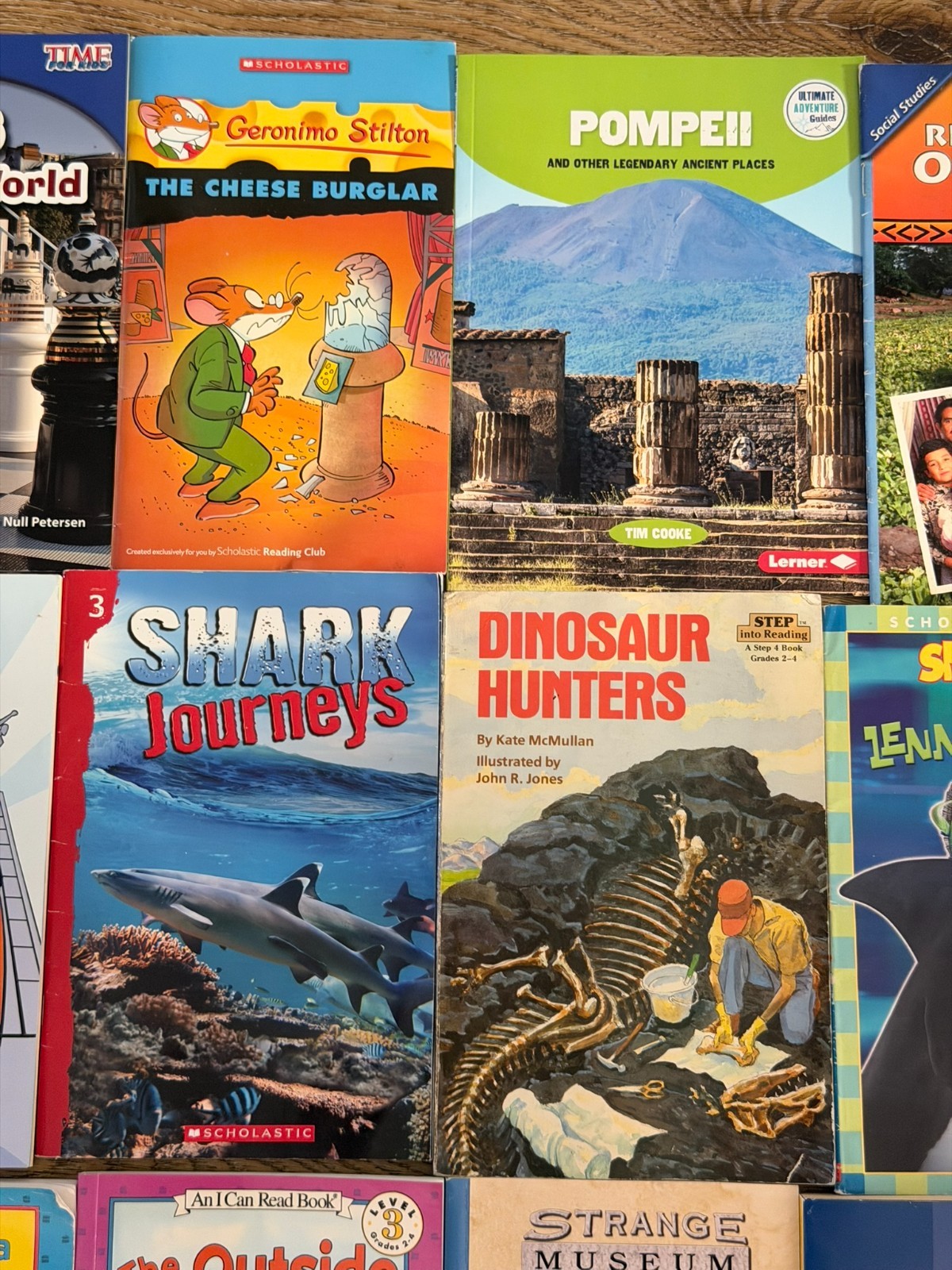 Lot of 21 Level 3 & 4 Early Reader Chapter Books Scholastic I Can Read Mixed Set