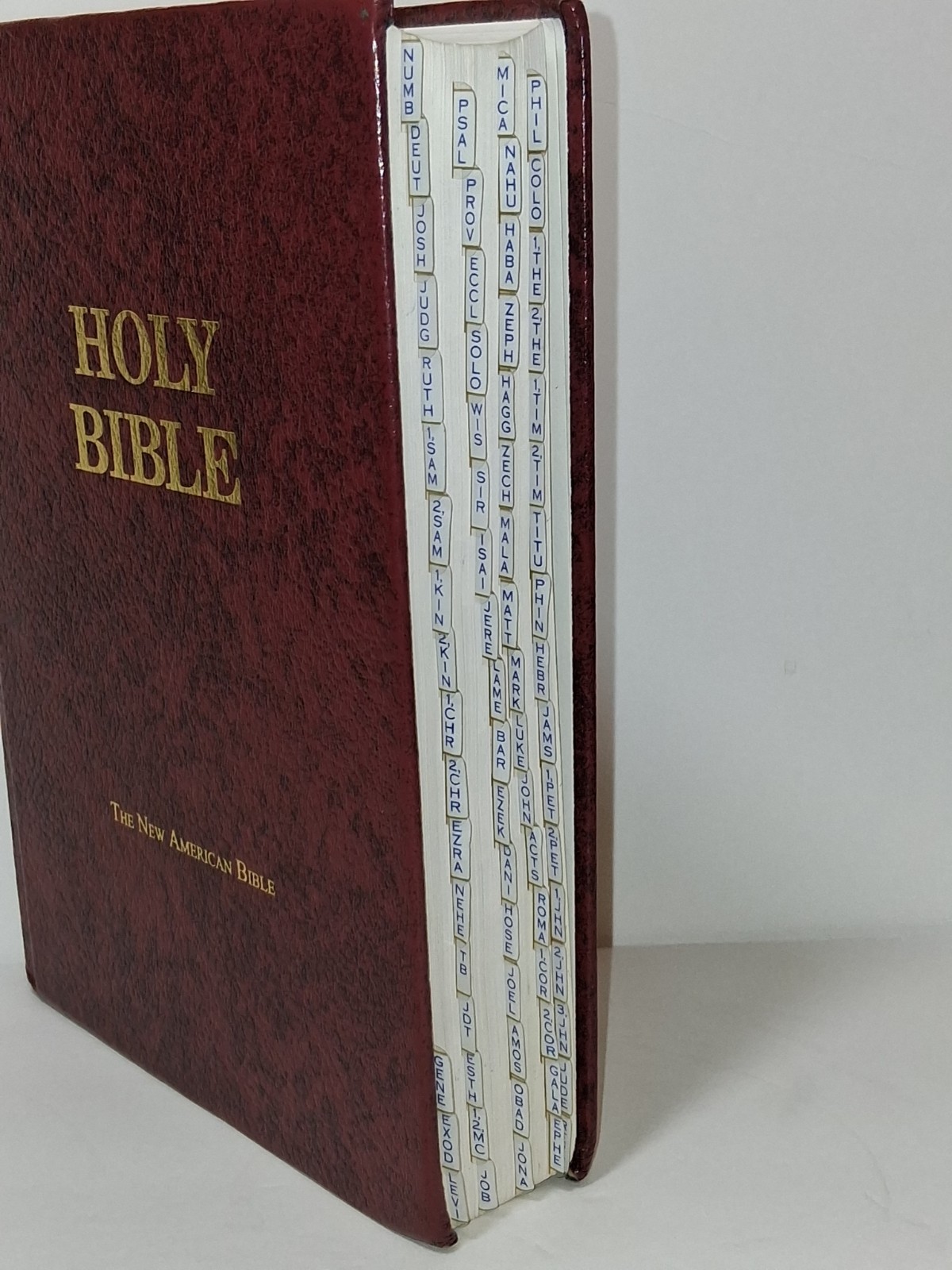 The New American Bible Fireside Catholic Study Edition NAB Leather Cover