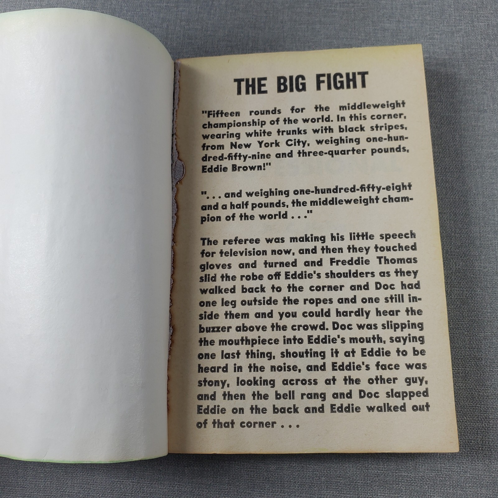 The Professional W C Heinz 1959 Vintage Paperback Book Boxing Sports Berkley