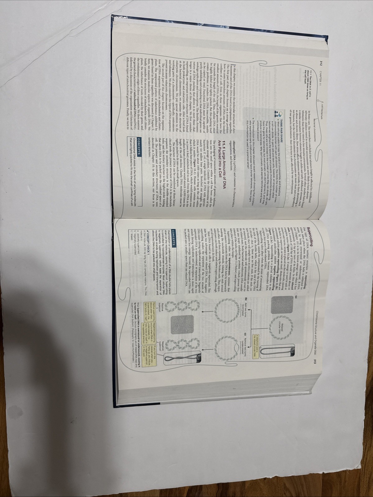 Genetics: A Conceptual Approach by Pierce, Benjamin Hardback Book The Fast Free