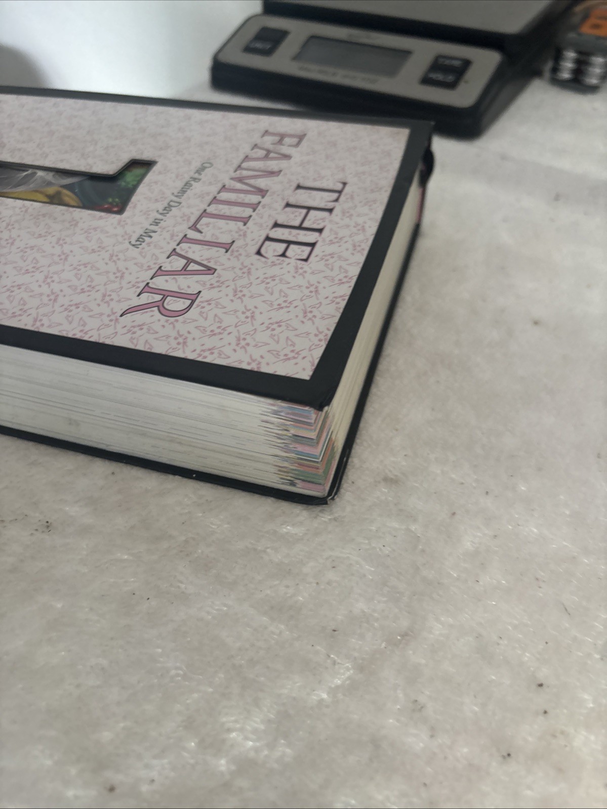 The Familiar, Volume 1: One Rainy Day in May by Mark Z Danielewski