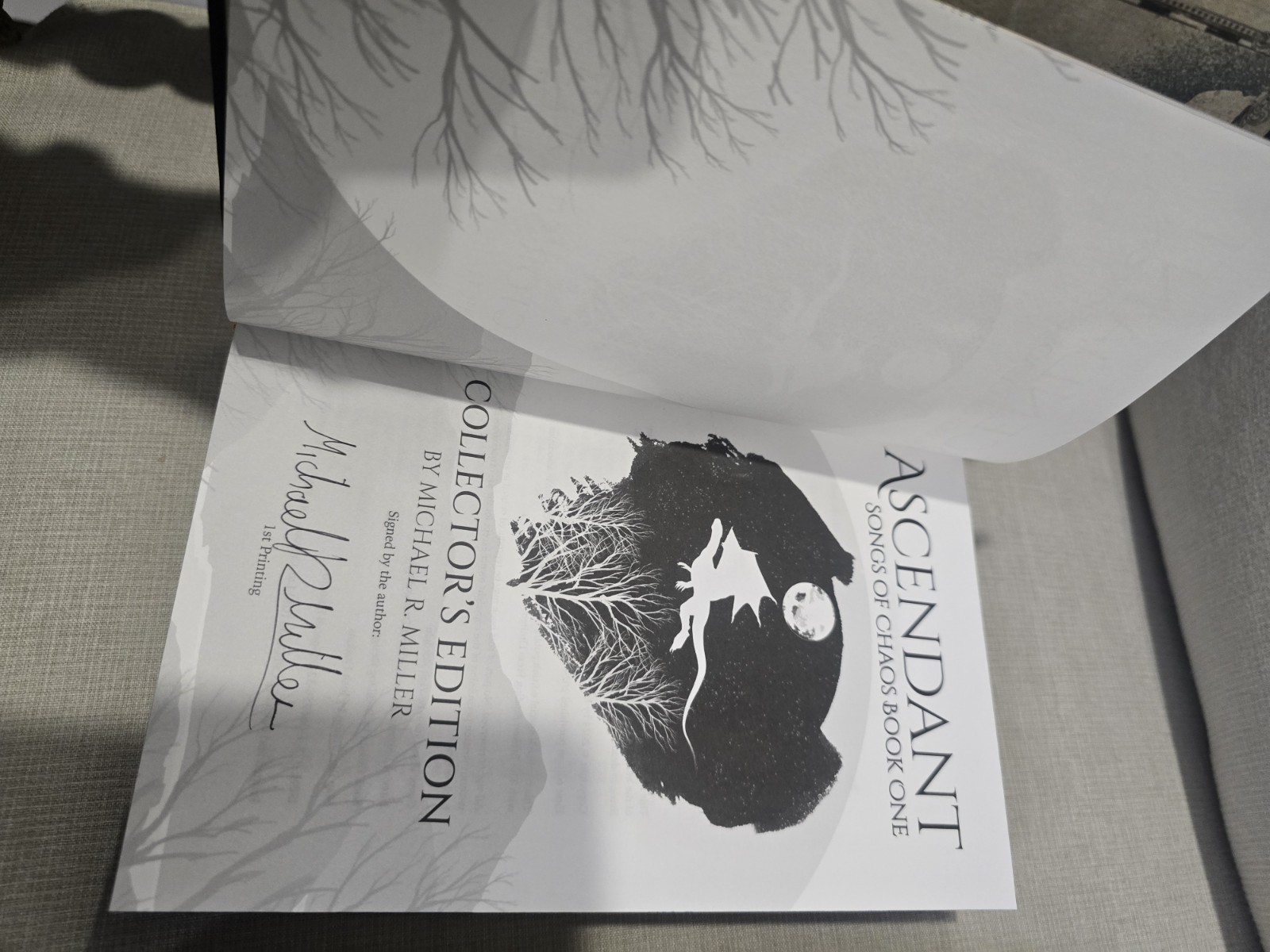 Ascendant And Unbound Broken Binding