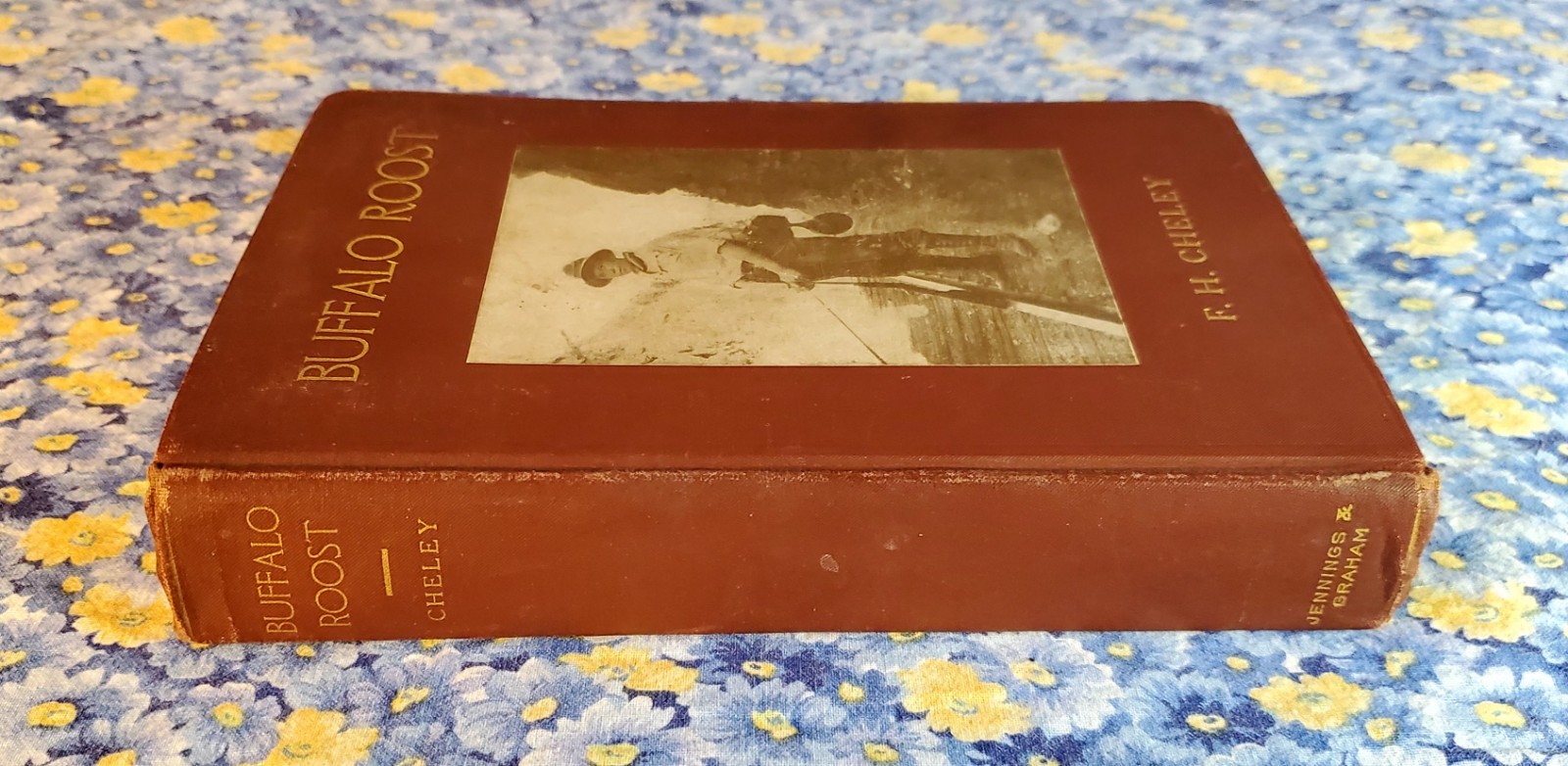 Buffalo Roost, F. H. Cheley, 1913, First Edition, Hardcover, Antique