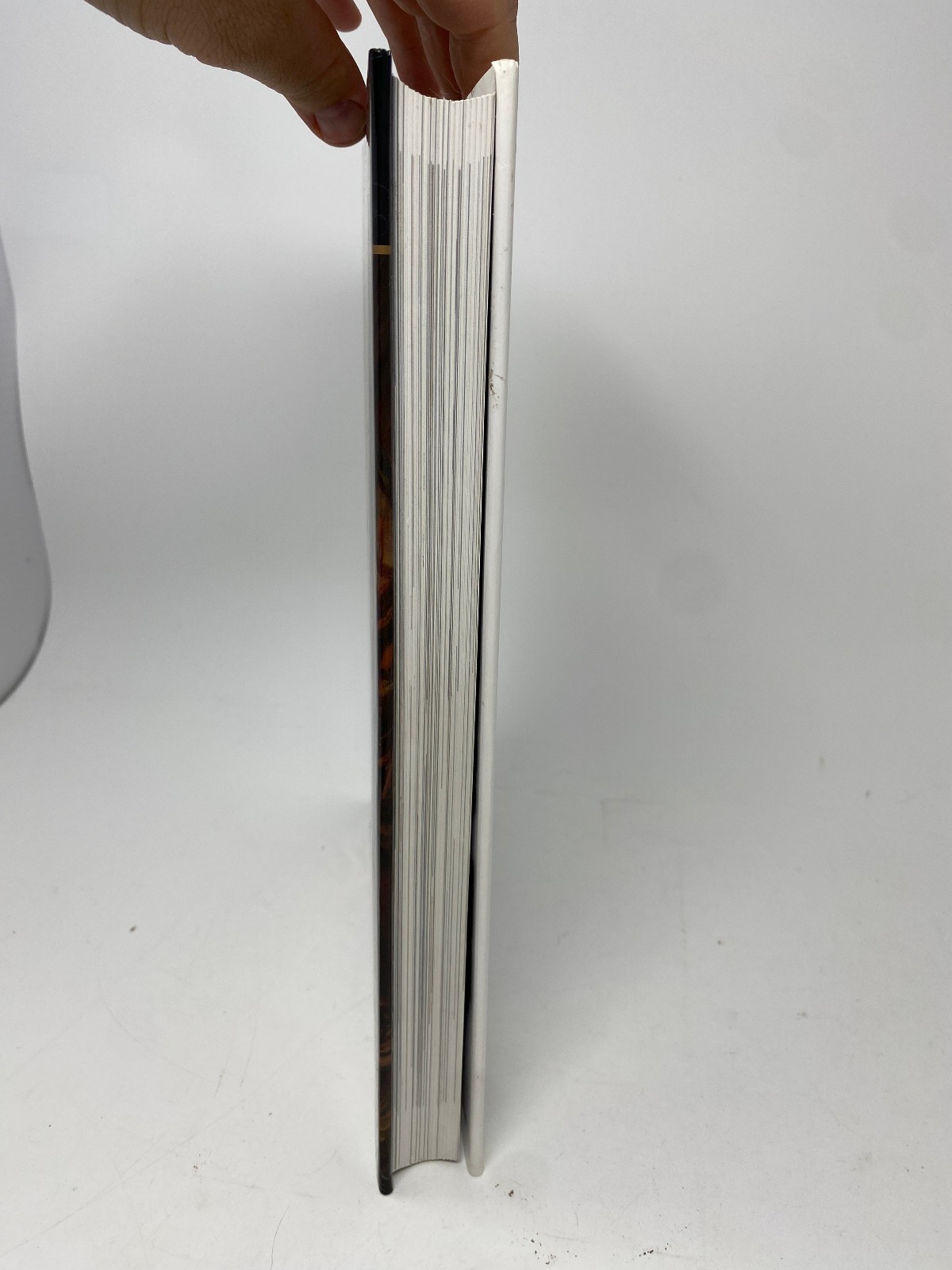 1st Ed. Spectrum 20: The Best in Contemporary Fantastic Art Book Hardcover
