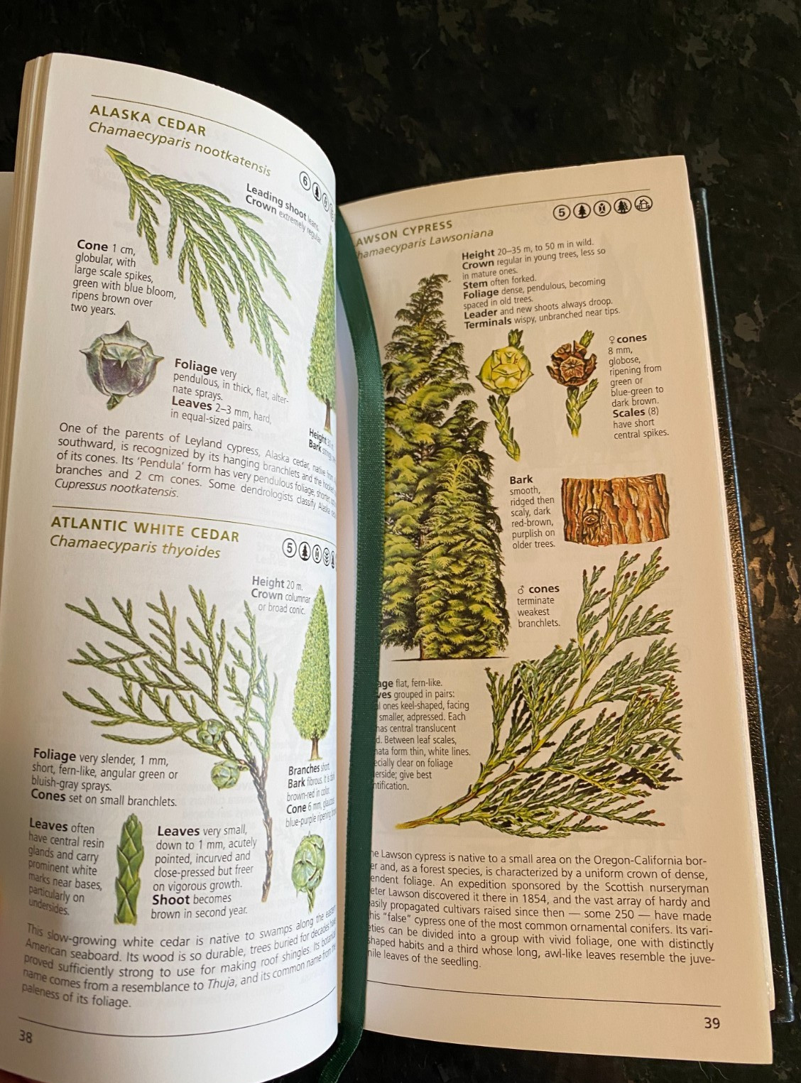 National Geographic/Field Guide to the TREES Of North America/2006/ISBN:07922551