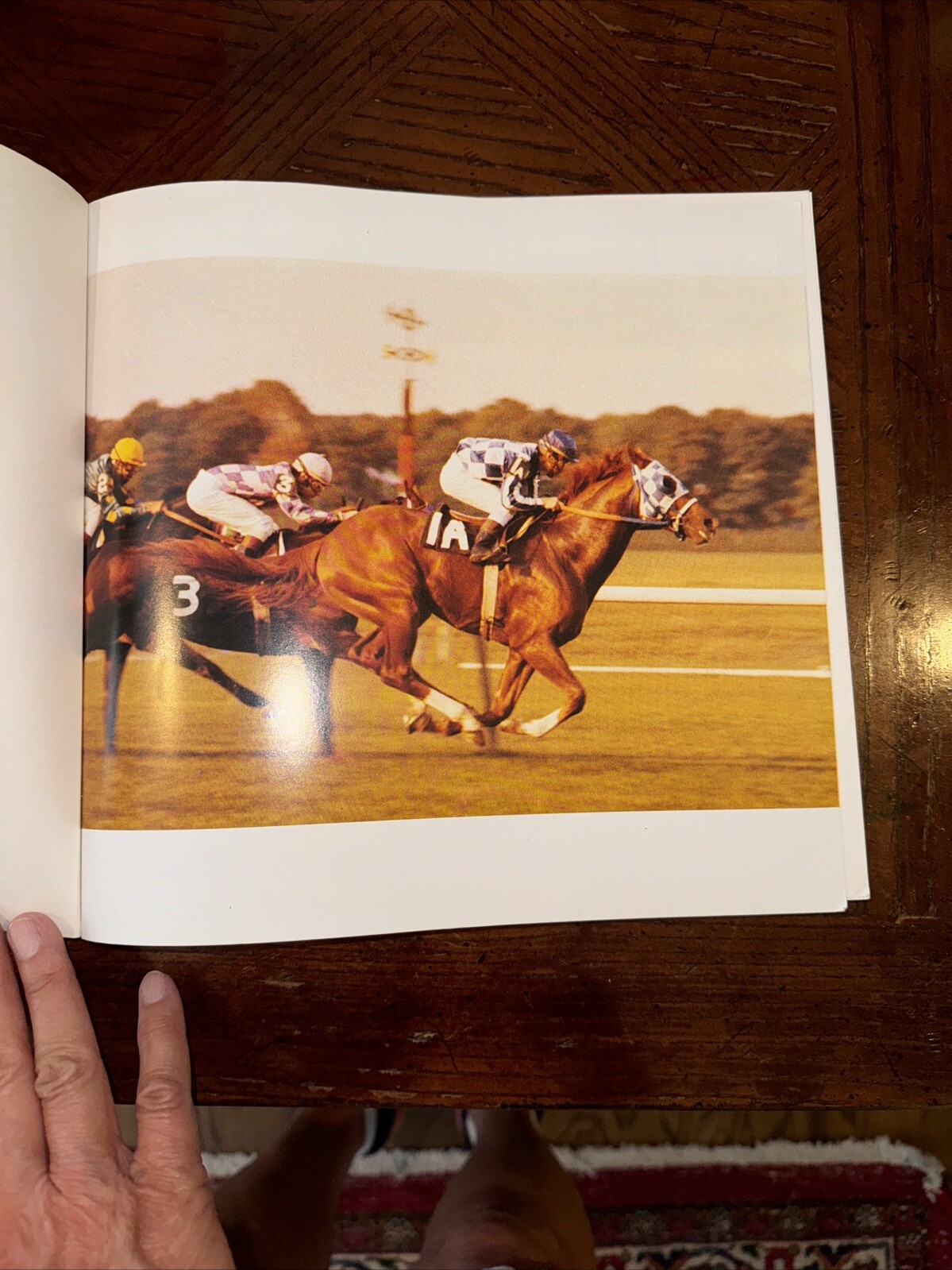 Secretariat, Woolfe Jr., Raymond G., 10.5 X 10 Inches Paperback
