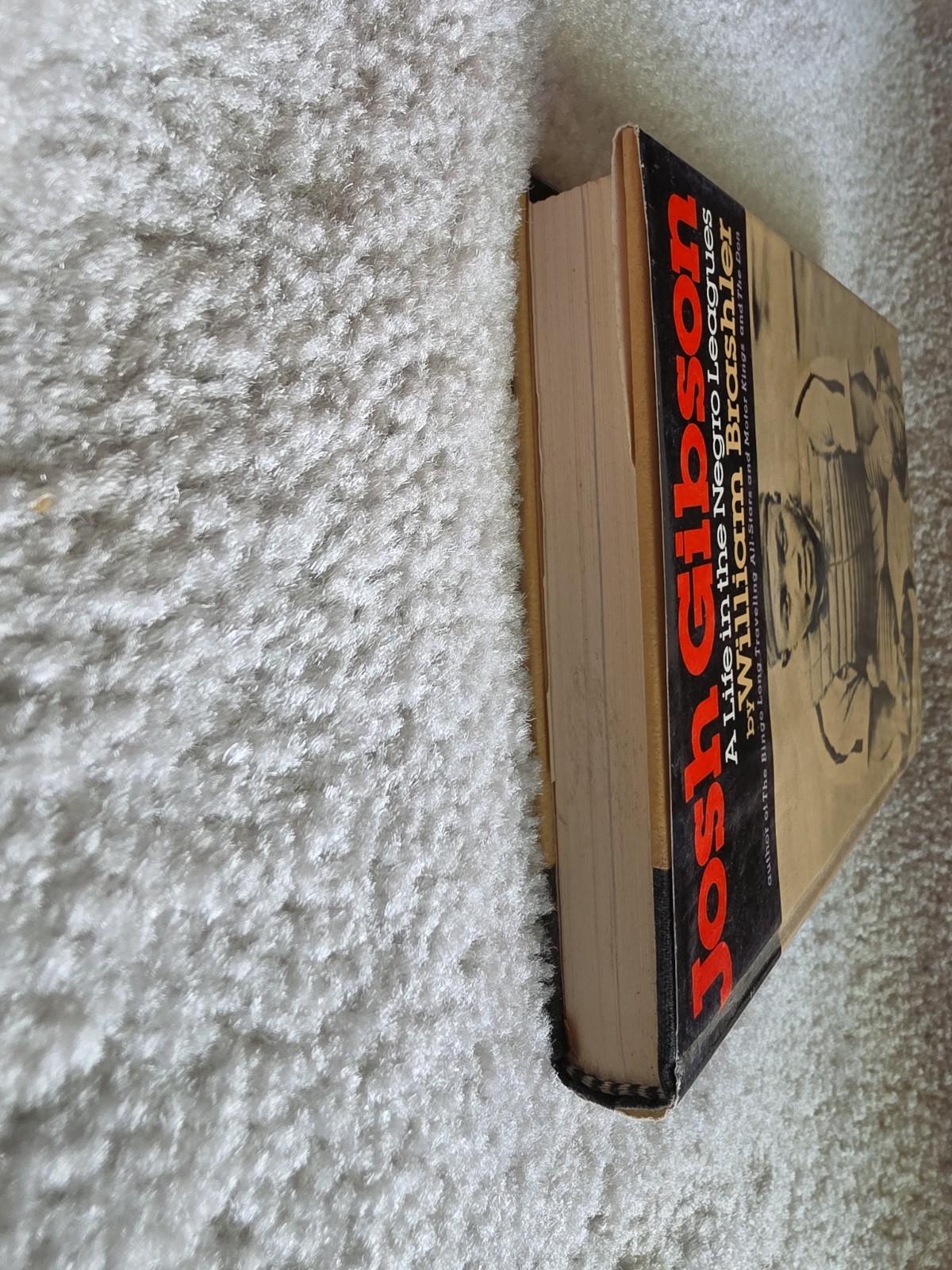 Josh Gibson: A Life in the Negro Leagues. William Brashler First Edition & Print