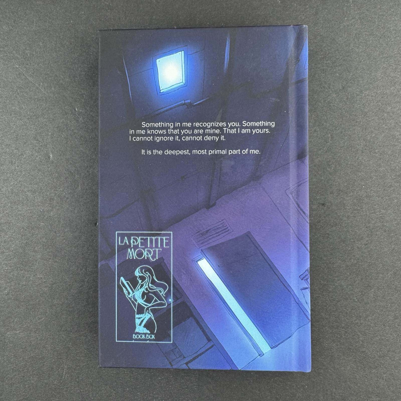 Tiffany Roberts Silent Lucidity & Shielded Heart La Petite Mort NSFW Mini HC Set