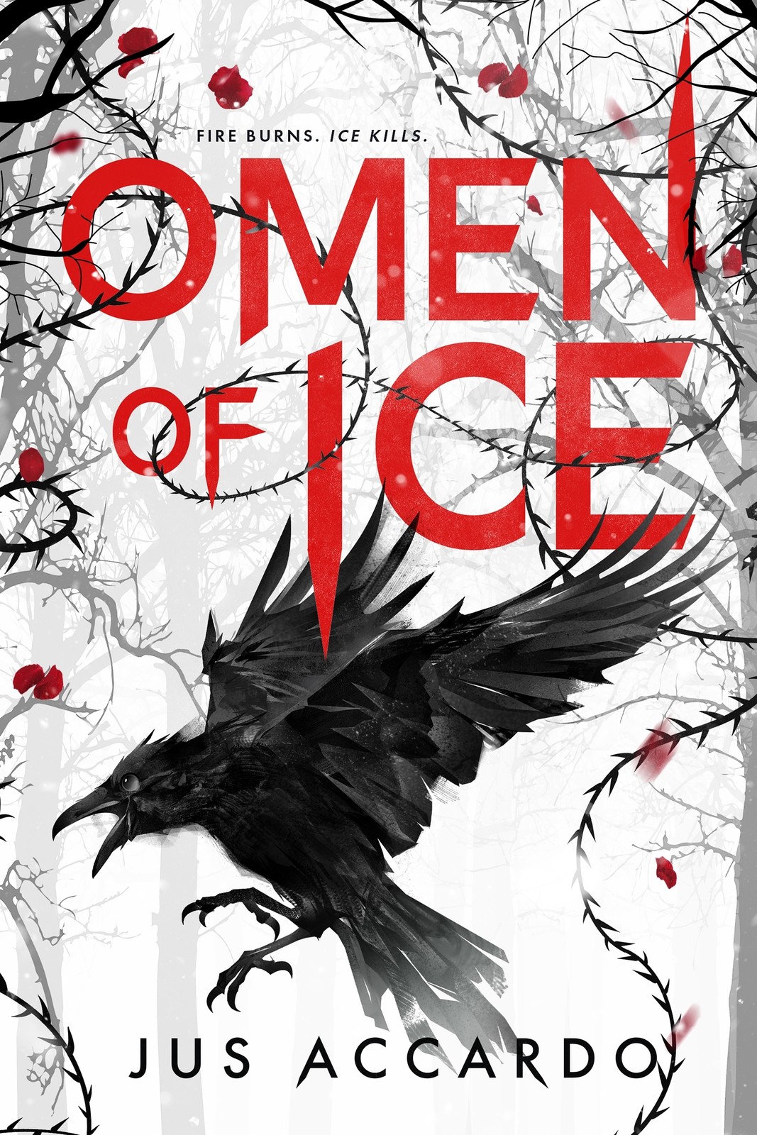 Omen of Ice by Accardo, Jus [Hardcover]