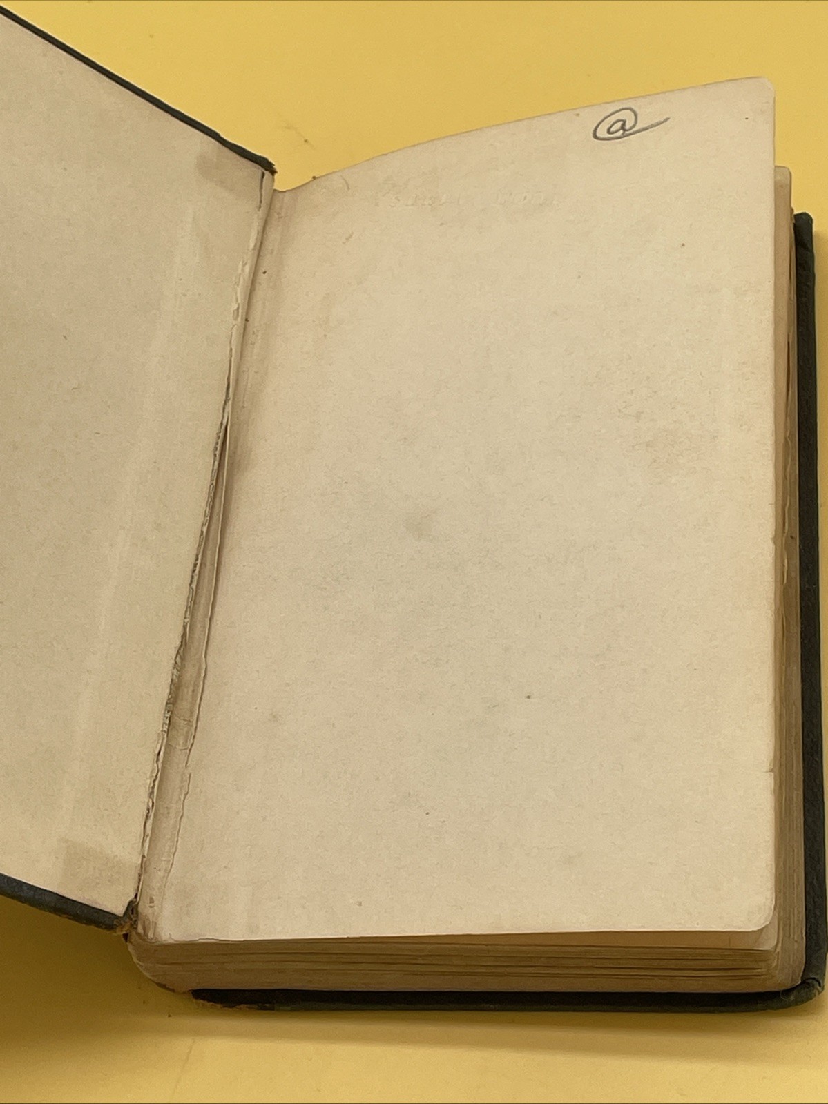 The “History Of Rome” E.M Sewell New York, D Appleton And Co, 1889!