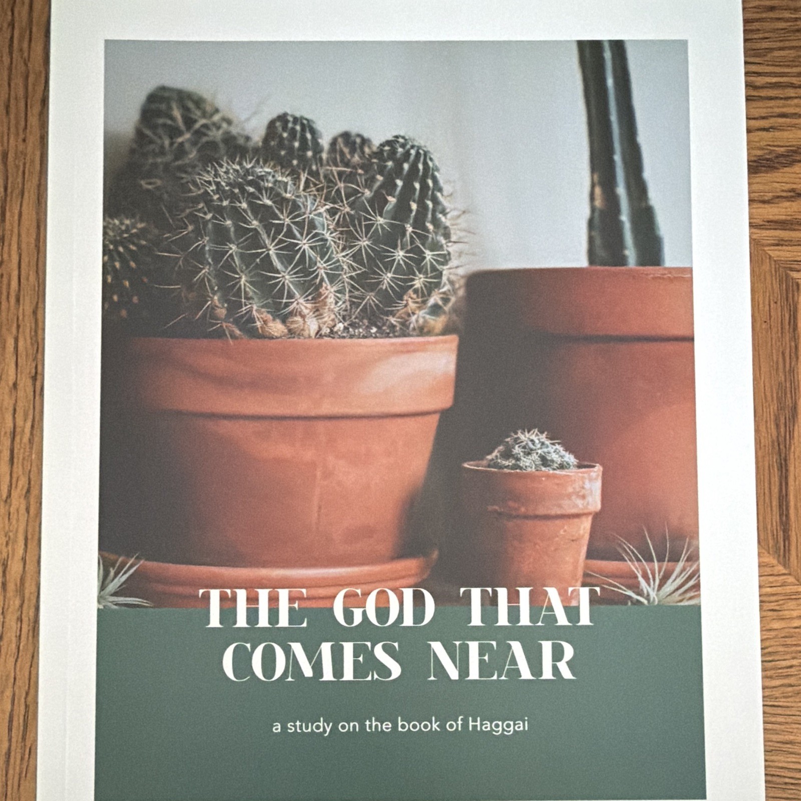 The Daily Grace Co. The God That Comes Near Bible Study Guide PB English
