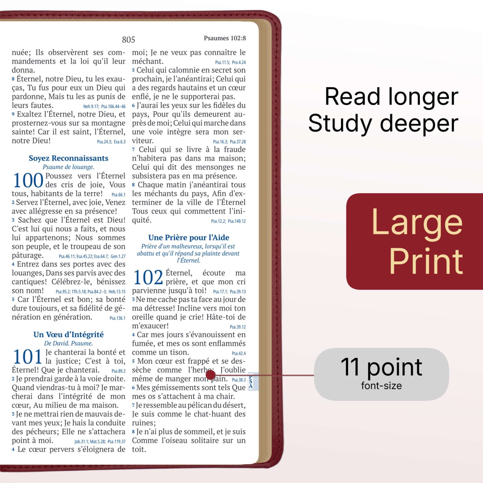 Red Louis Segond French Bible LARGE Print – LSG Bible Rouge en Français by SP