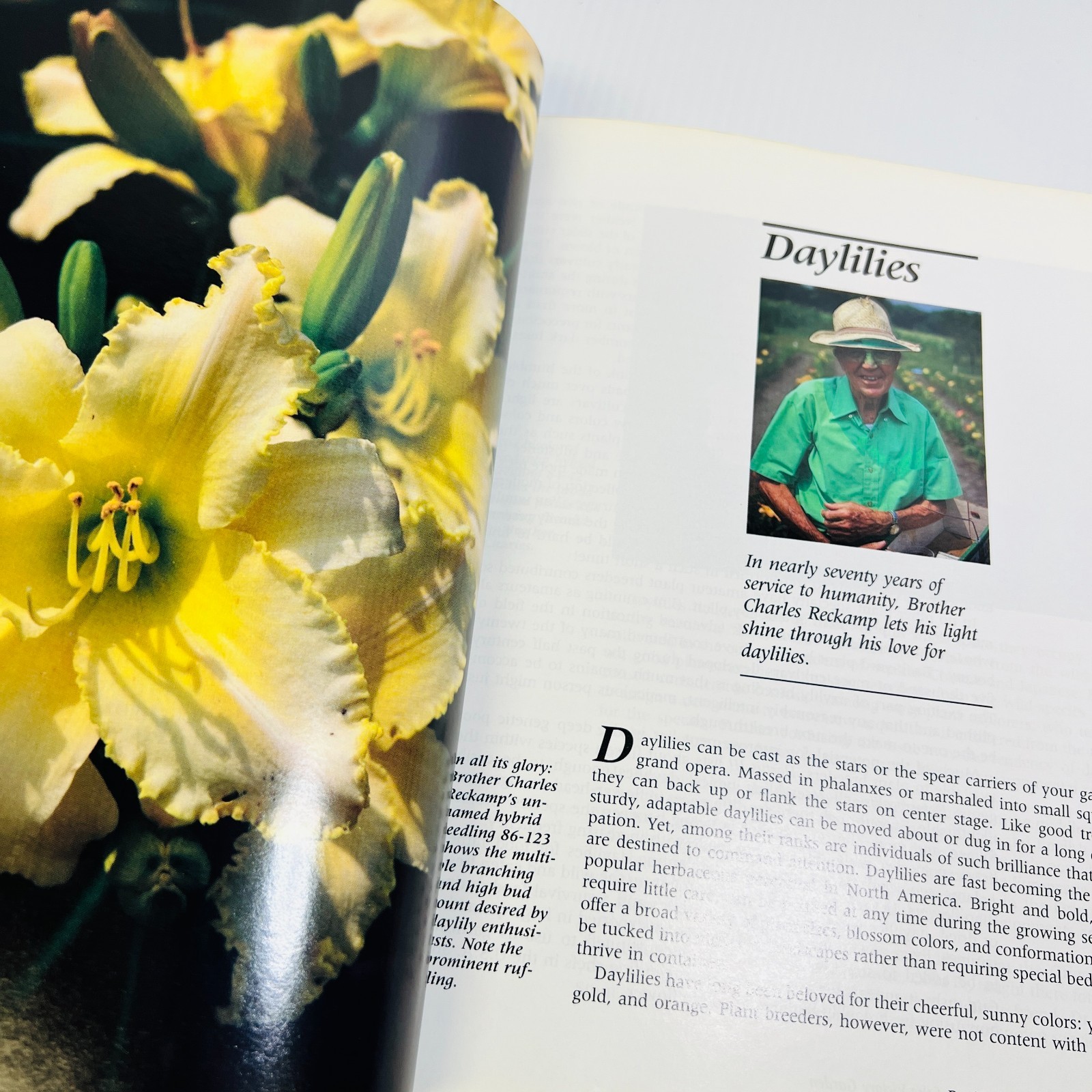 The Victory Garden: The Essential Companion : Three …