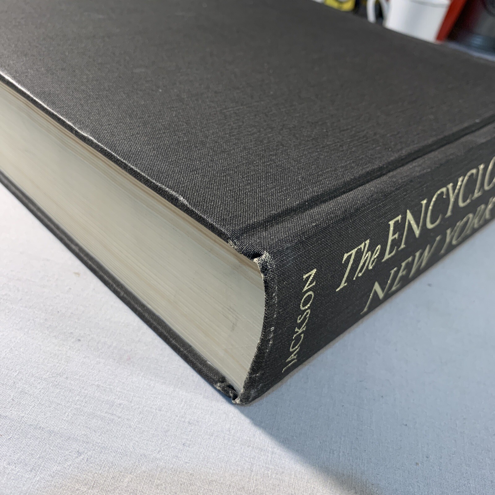 The Encyclopedia of New York City by Kenneth T. Jackson 1995 Hardcover