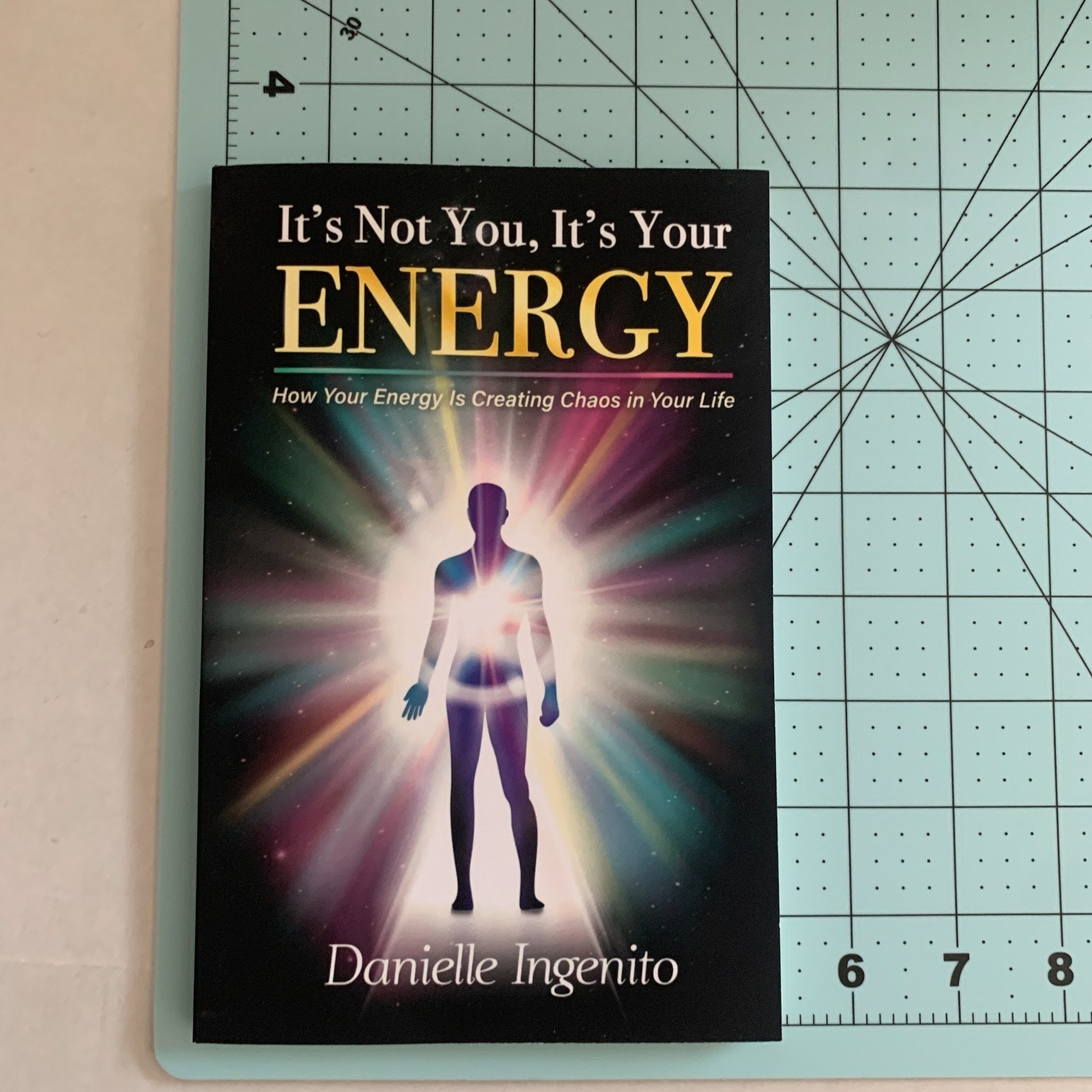 It’s Not You, It’s Your Energy Danielle Ingenito Paperback Book NEW