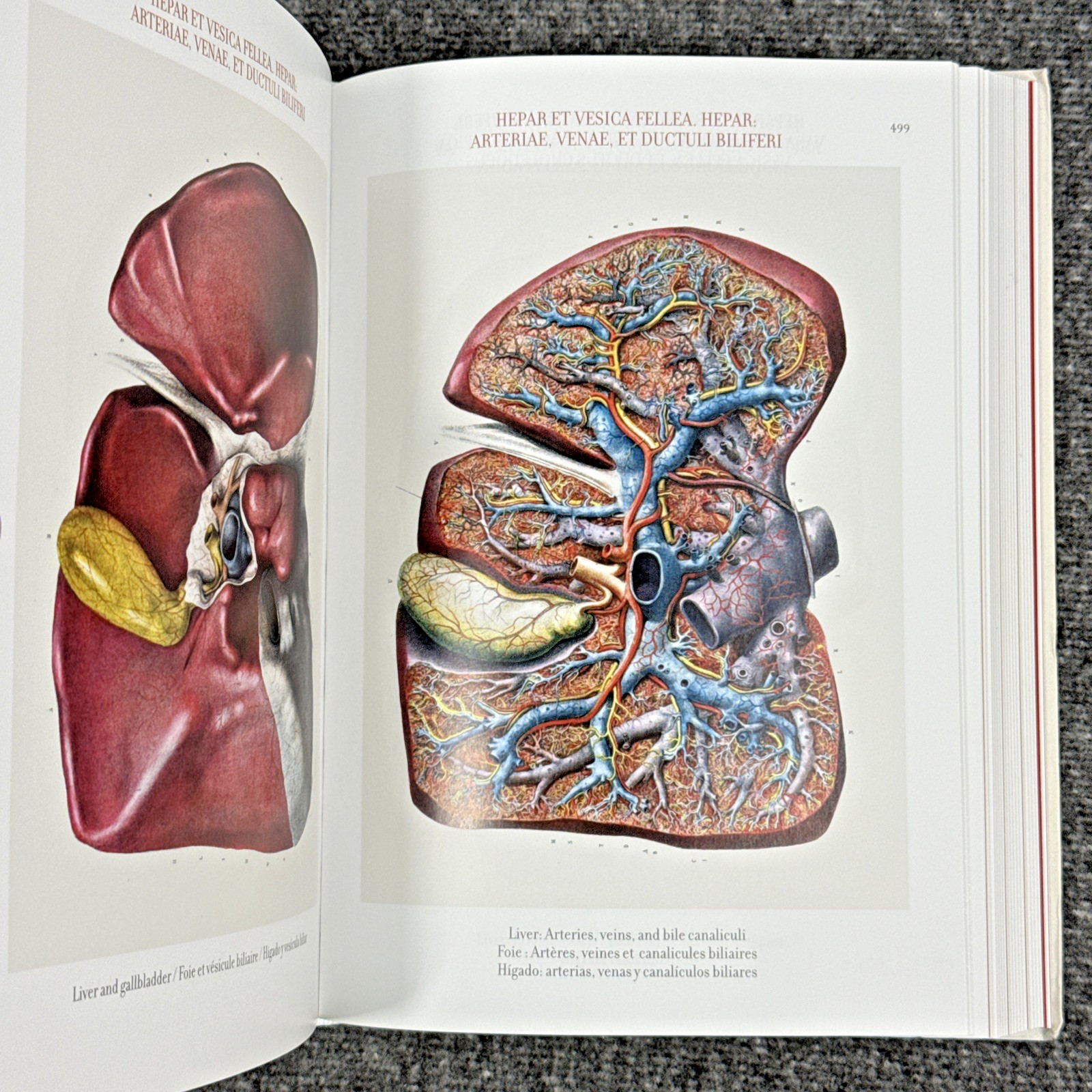 Atlas of Human Anatomy and Surgery The Complete Plates, Bourgery, Jacob, Taschen