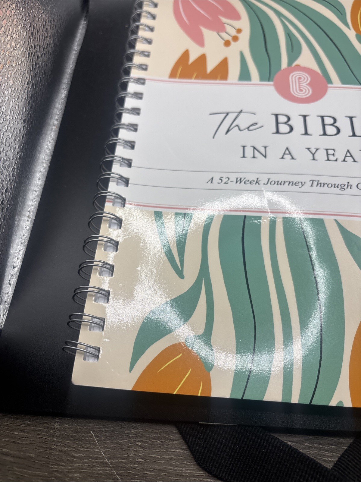 The Bible in a Year Spiral Bound Study Guide 52-Week Journey Through God’s Word