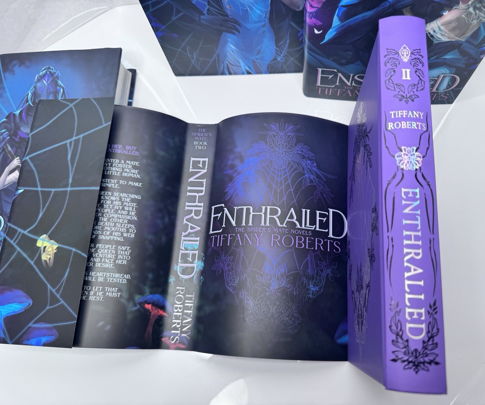 SIGNED Faecrate The Spider’s Mate Set by Tiffany Roberts
