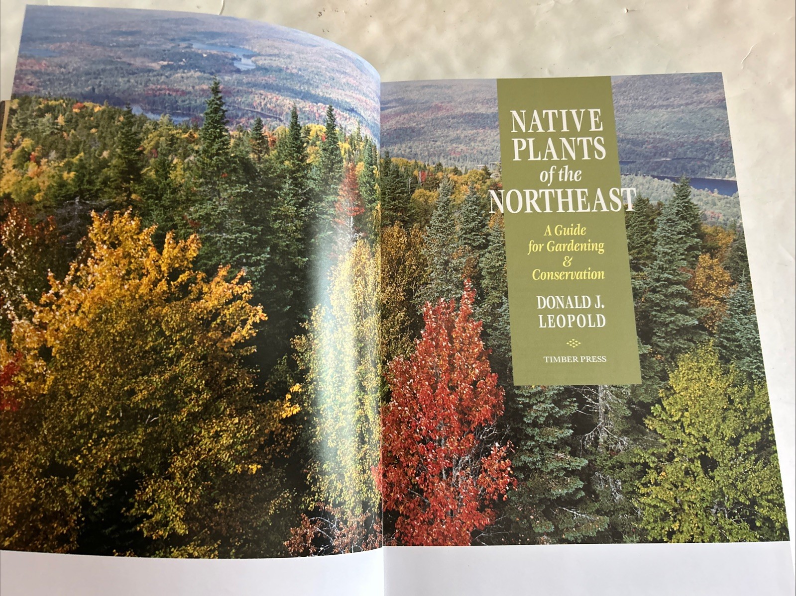 Native Plants of the Northeast: A Guide for Gardening and Conservation