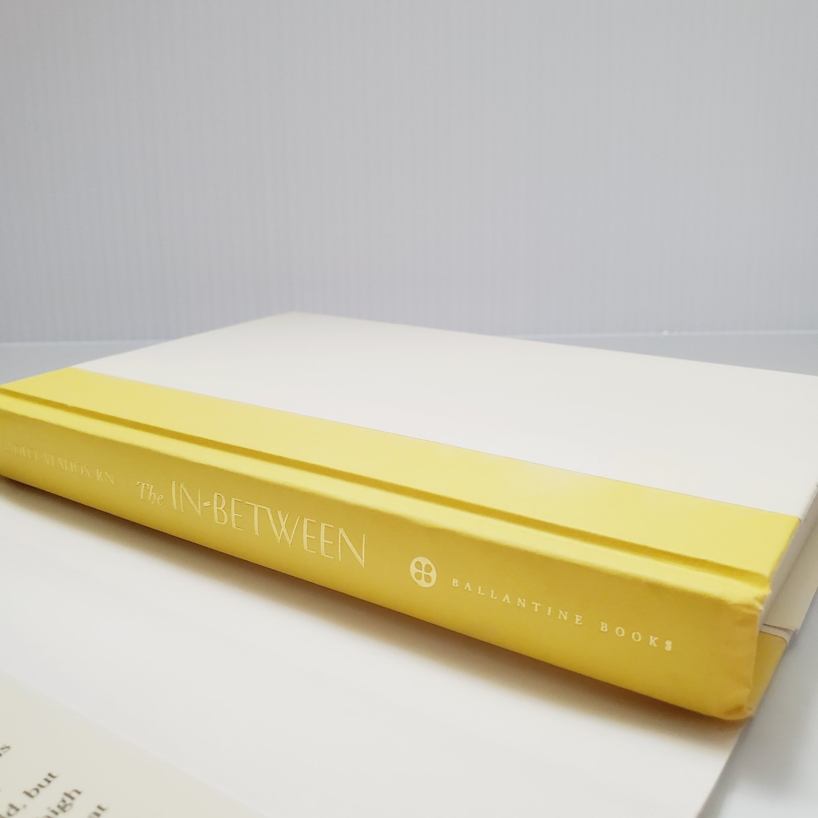 The In-Between Book Encounters During Life’s Final Moments Hadley Vlahos HC