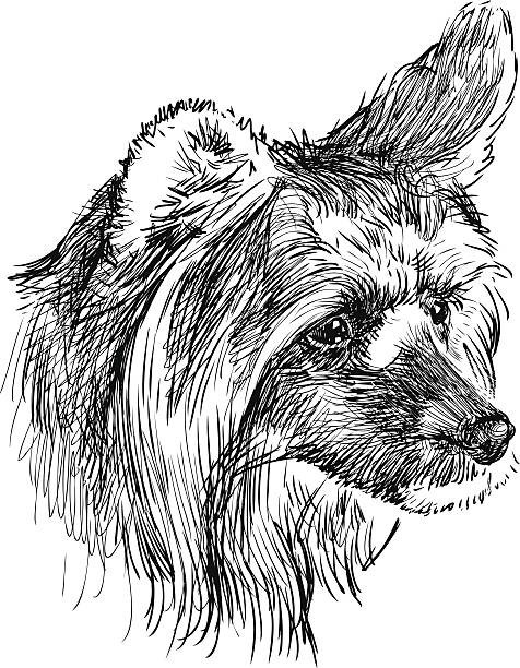 Dogs coloring book for all ages Pets Series 108 Pages 8.5 x 11 for All Ages