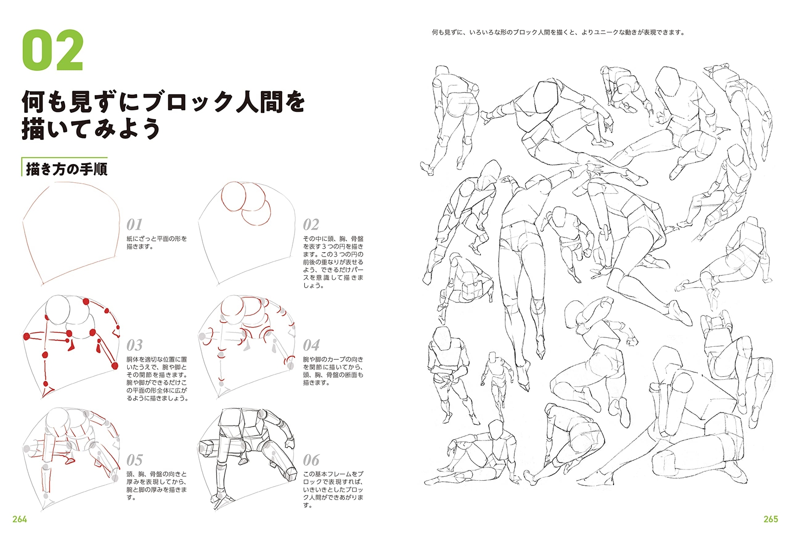 Human Anatomy Drawing Master Guide: Character Design Basics, Large Book