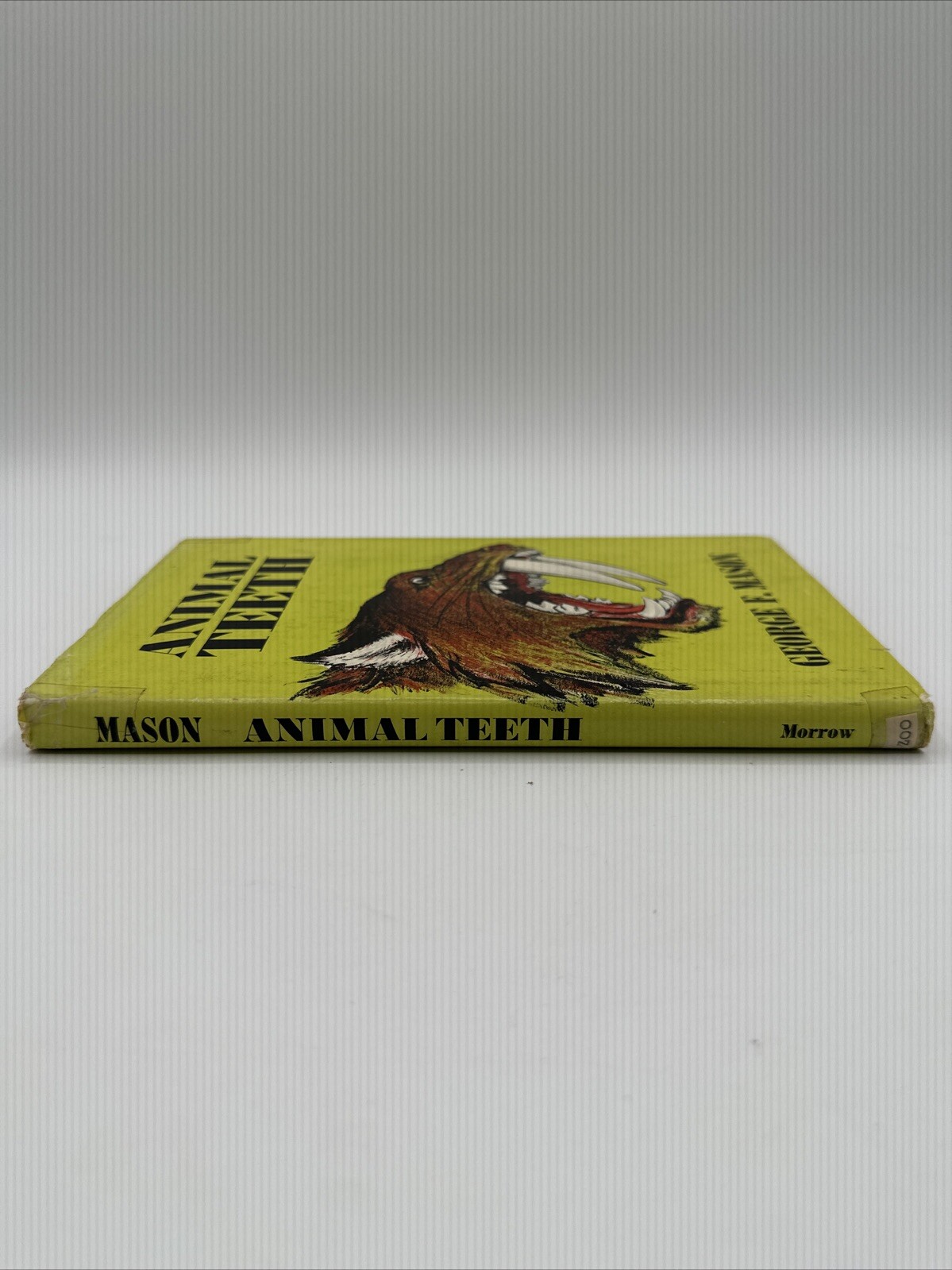 Animal Teeth George F Mason 1965 Hardcover 96 Pages Morrow Junior Books Library