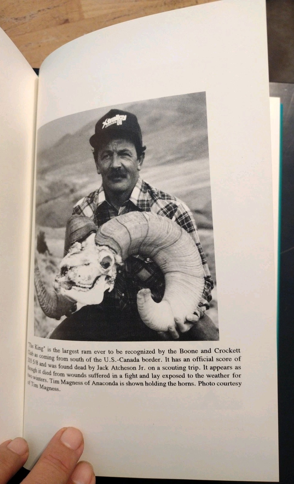Signed #d 76/500 MONTANA – Land of the Giant Rams Vol. II. Duncan Gilchrist HCDJ