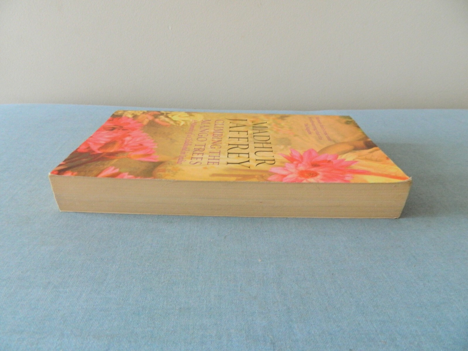 Vintage BOOK CLIMBING THE MANGO TREES MADHUR JAFFREY Paperback Ebury Press 2005
