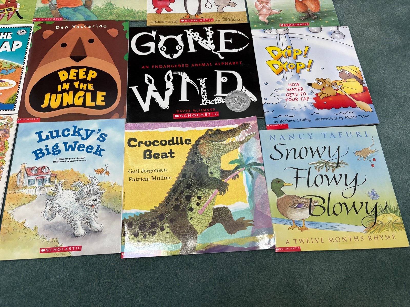 Childrens Picture Books, Daycare, Storytime, Homeschool – Lot 20