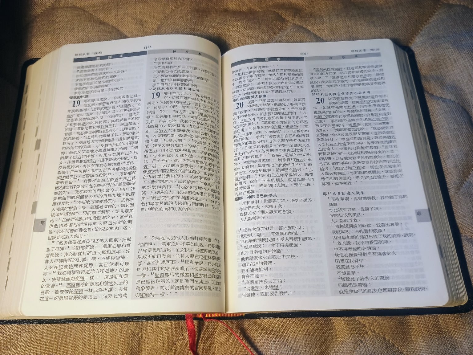 新譯和合聖經 New Chinese Version Union Parallel Bible Worldwide Bible Society