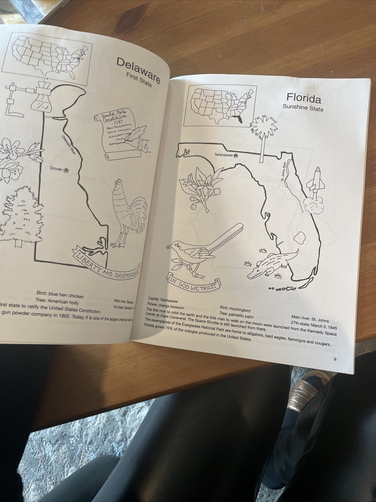 Dover American History Coloring Bks.: United States Coloring Book by Winky Adam