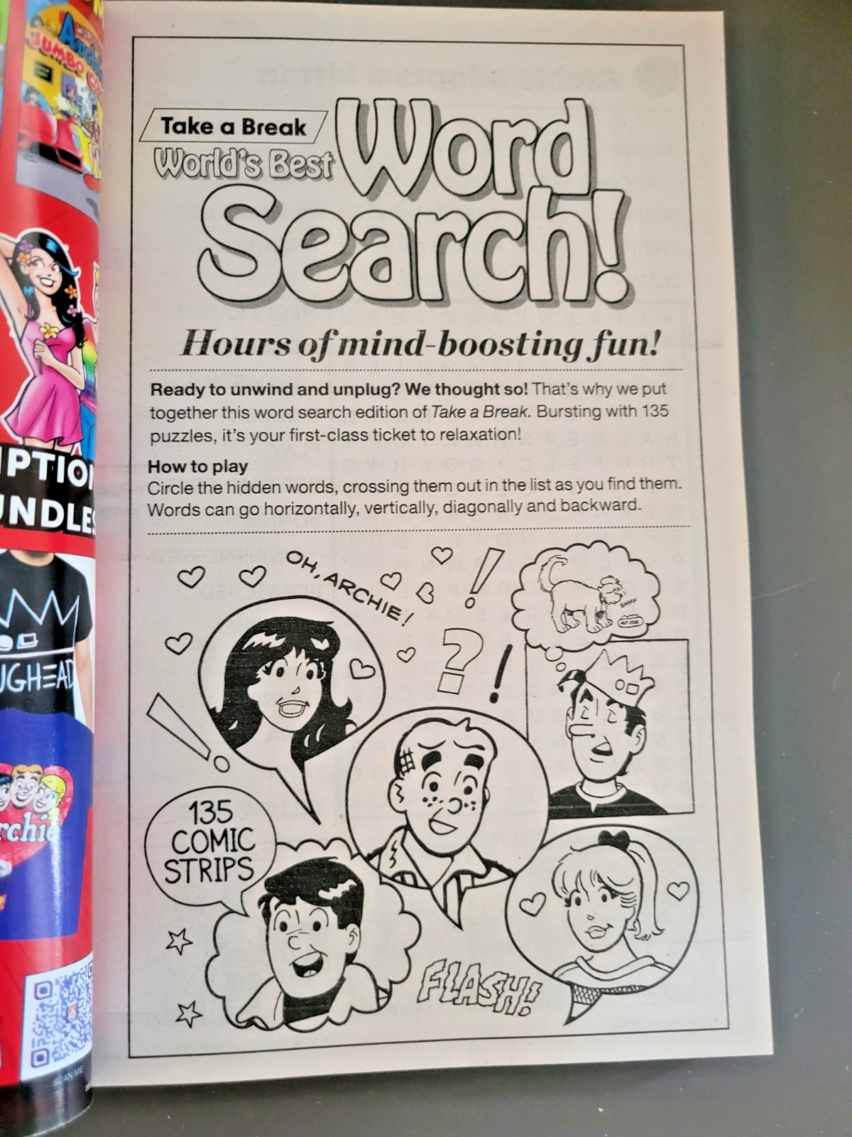 Archie Themed Word Search Puzzle Book by Take-A-Break – Over 134 Challenges