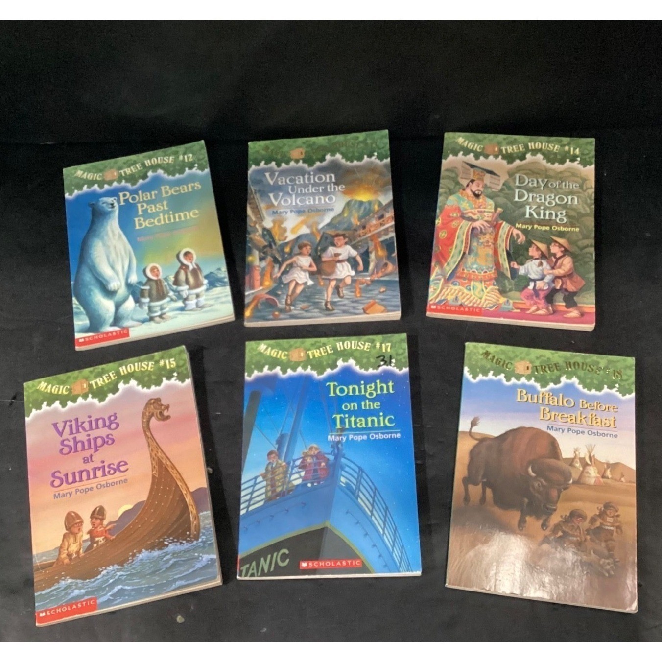 Magic Tree House Book Lot, Mary Pope Osborne 24 Paperbacks Merlin Missions Mixed