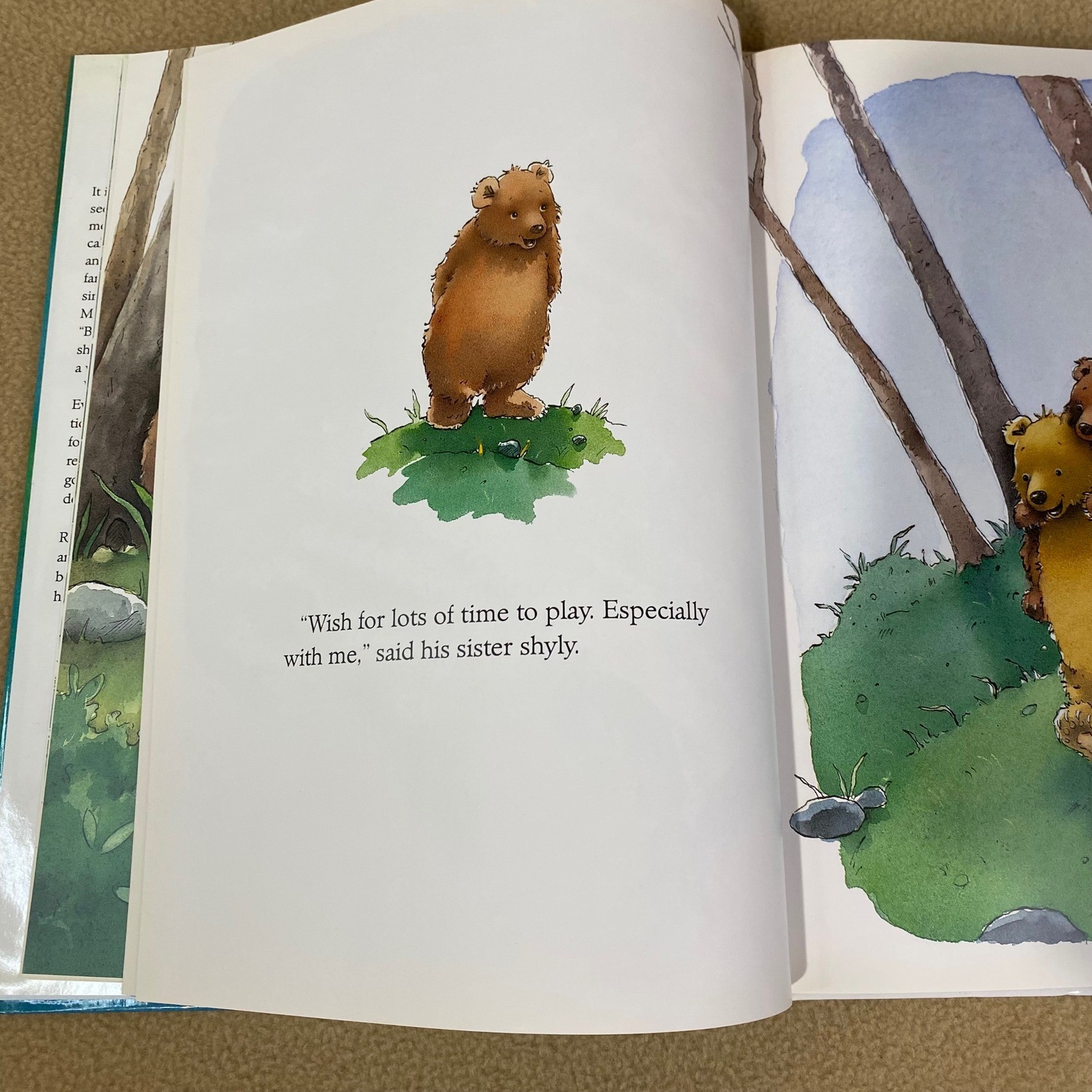 Marcus Pfister Make a Wish Honey Bear Book Kids Hardcover Birthday Gift EUC