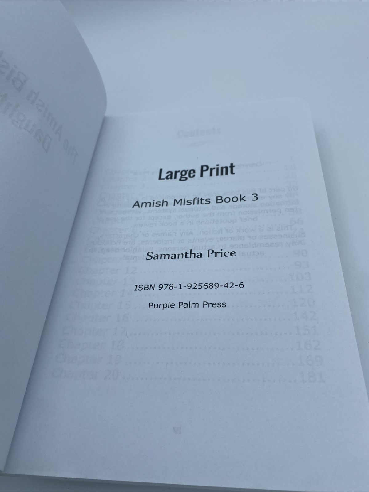 The Temporary Amish Nanny & The Amish Bishops Daughter Large Print books