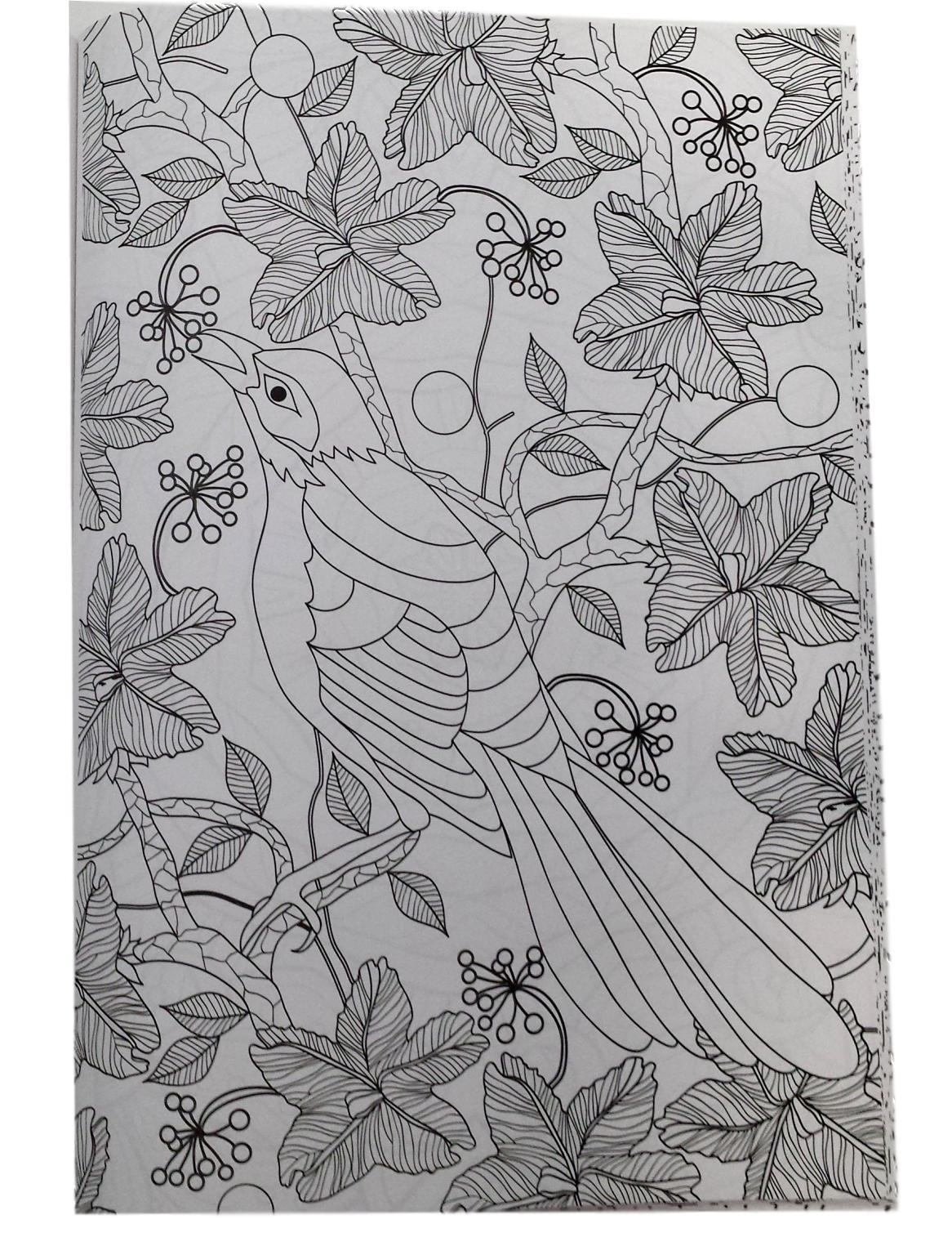 Adult Coloring Book Designer Series Colored Pencil Marker Books 112 Pages NEW