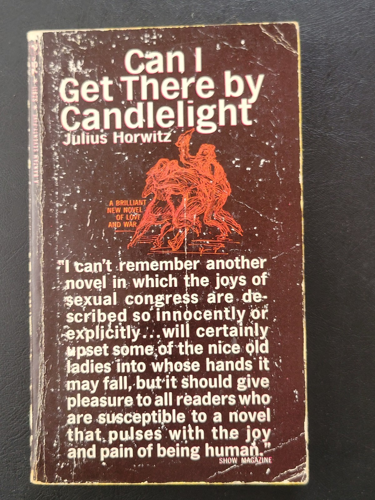 Can I Get There by Candlelight Julius Horwitz Bantam Edition 1965 Vintage