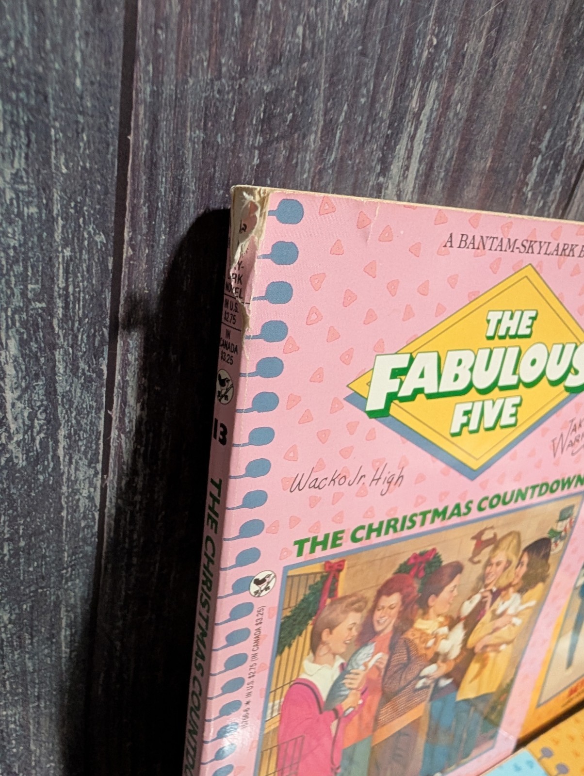 Fabulous Five by Betsy Haynes Book Lot of 16 – Vintage Paperbacks 80s 90s