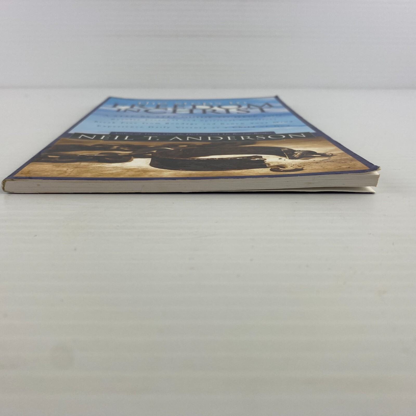 THE STEPS TO FREEDOM IN CHRIST Neil T Anderson RELIGION CHRISTIAN BIBLE PRAYER