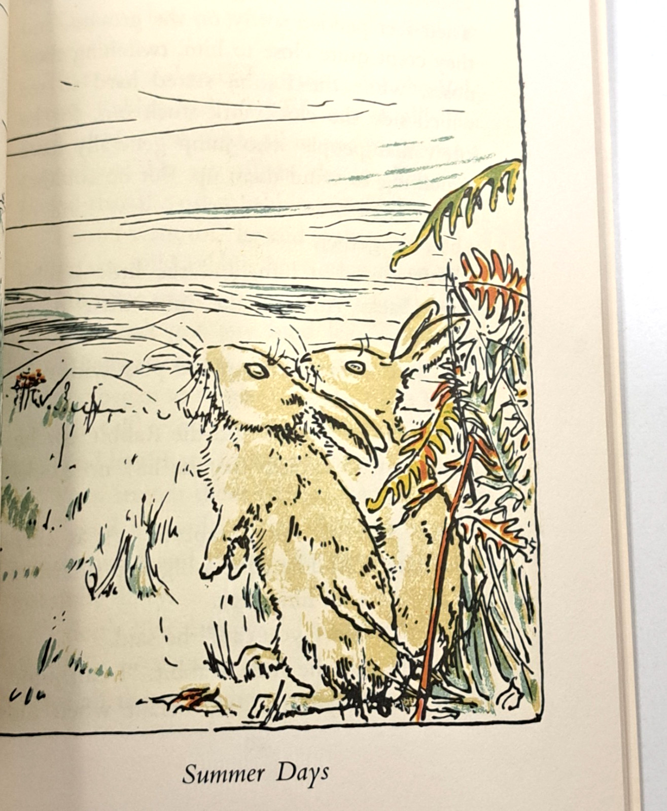 The Velveteen Rabbit Margery Williams Vintage 1975 Avon Books