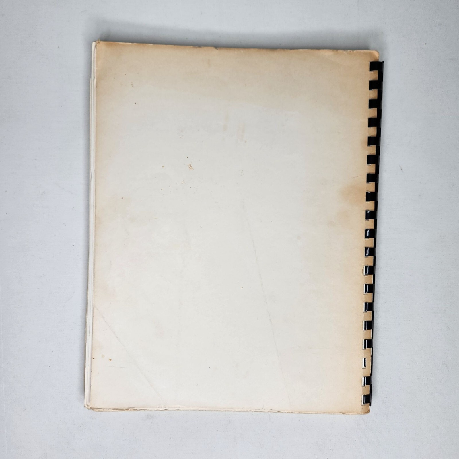 1983 Shaddox Family Cookbook Recipes Collection 8.5 x 11in Spiral Typed Heritage