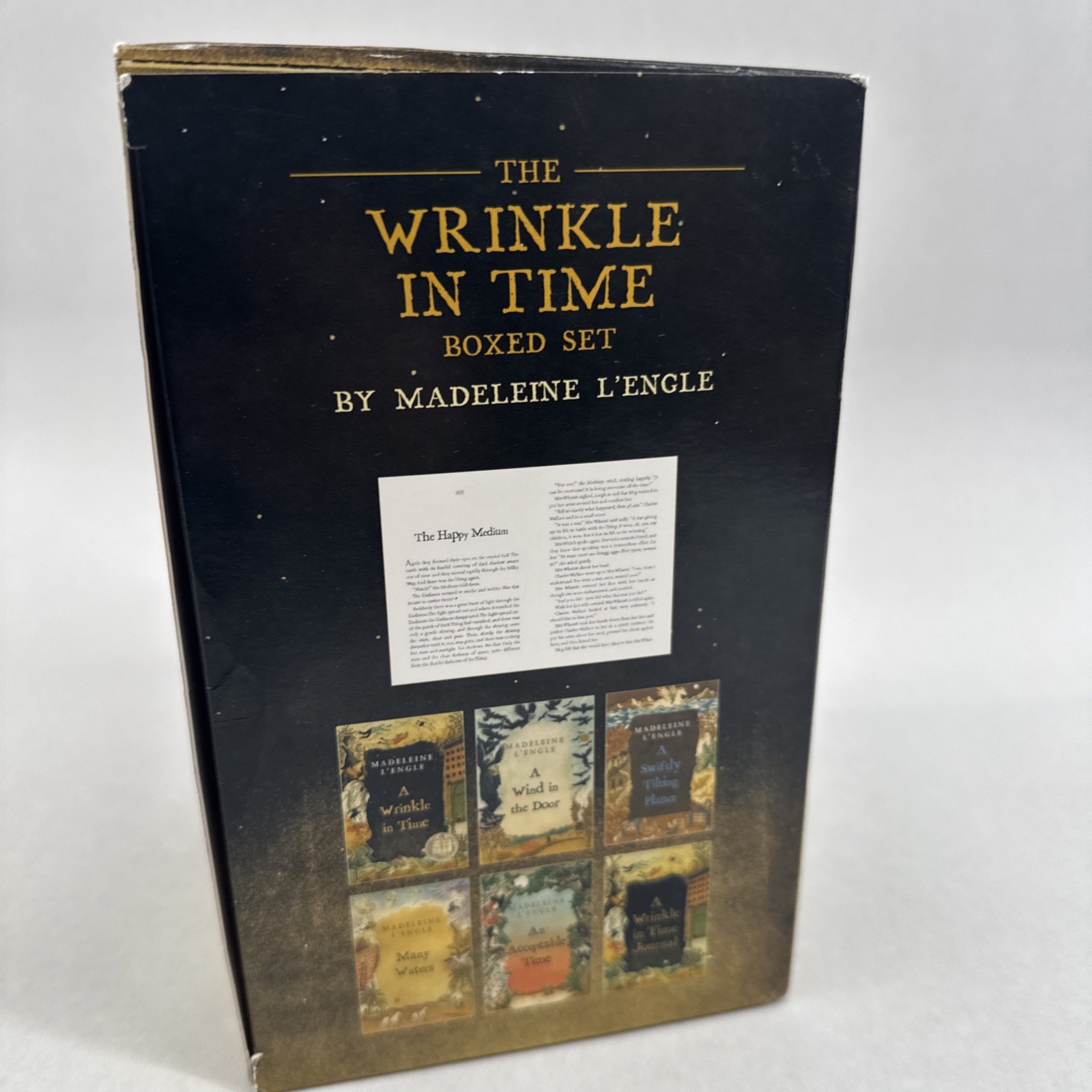 INCOMPLETE The Wrinkle in Time Set books No Journal