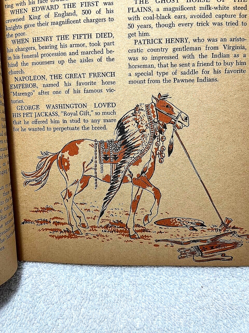 1955 HORSES Fletcher Nino Carbe History Breeds Equestrian Riding Indian Western